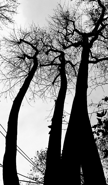 Üniversiteli gençlerden fotoğraf sergisi