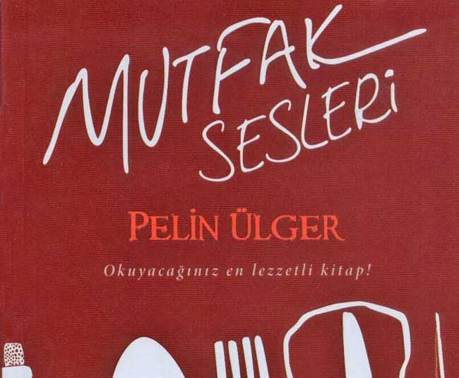 Bilgisayar uzmanından bir mutfak romanı