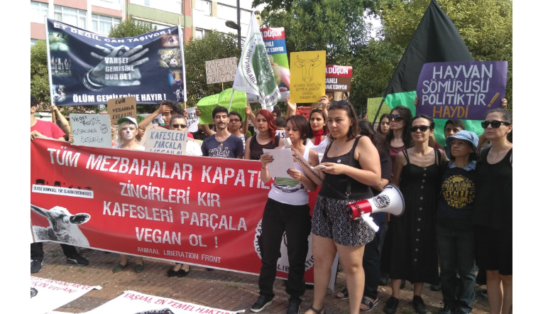 Hayvan hakları için dünyayla eş zamanlı eylem