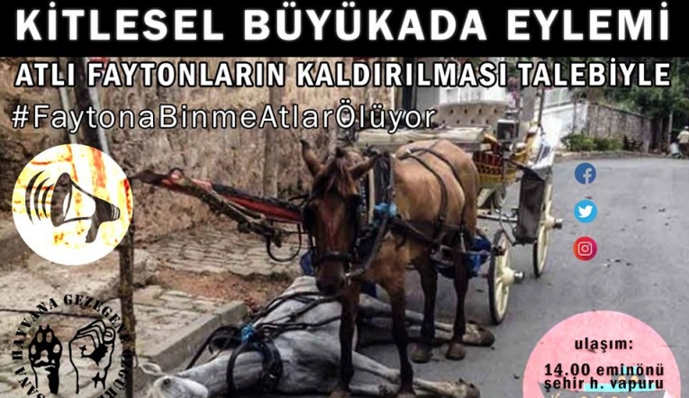 Büyükada’da büyük fayton eylemi