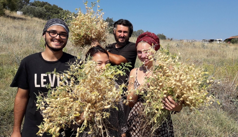 Ekolojik çiftlikte alternatif tatil
