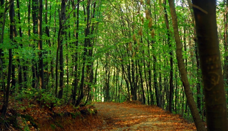 Trekking hatları sefere başladı