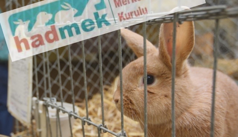Deneye Hayır Derneği davayı kazandı