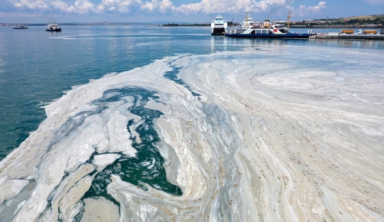 "Sorun müsilaj değil deniz kirliliği!”