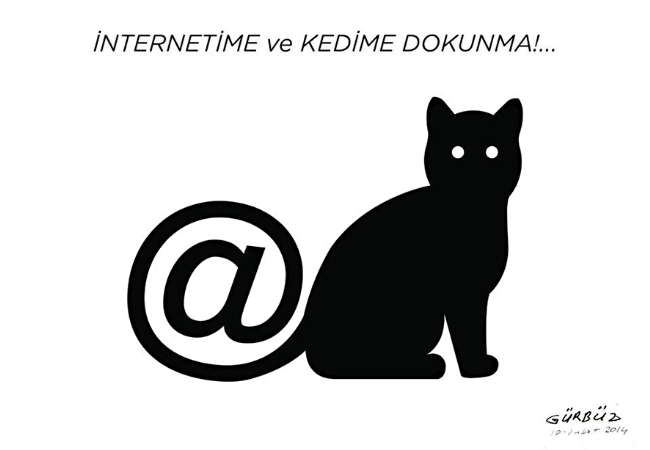 Mart kedileri geliyor!