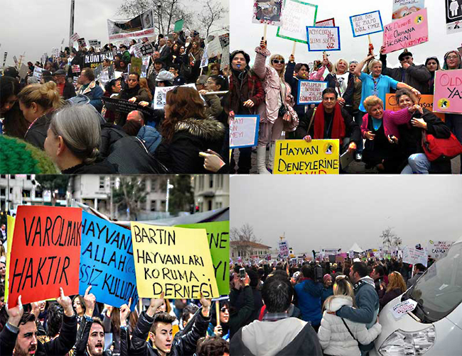 ‘'Hayvan deneylerine hayır''