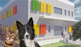 Sokak Hayvanları için Rehabilitasyon ve Eğitim Merkezi