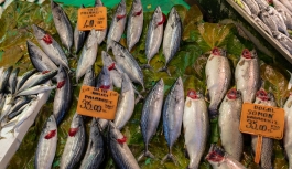 Havalar balık fiyatlarını da etkiledi
