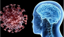 'Virüs 27 milyon kişide nörolojik sorunlar yaratacak'